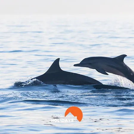 #096 Casa Antonieta 1 By Holidays Αλμπουφέιρα