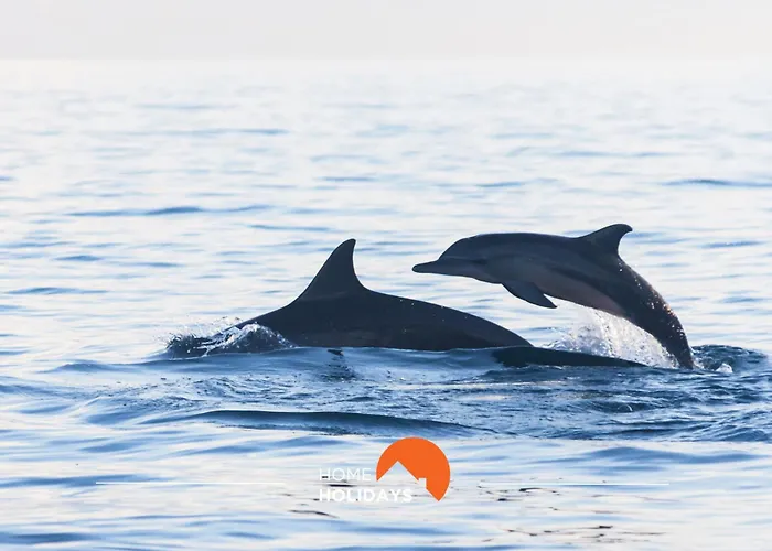 #096 Casa Antonieta 1 By Holidays Албуфейра